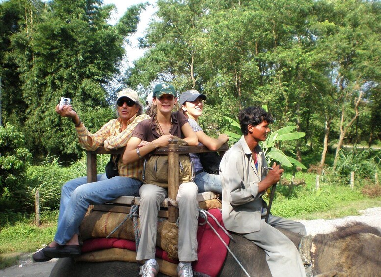 Picture 30 for Activity From Kathmandu/Pokhara: 3 Day All-Inclusive Chitwan Safari