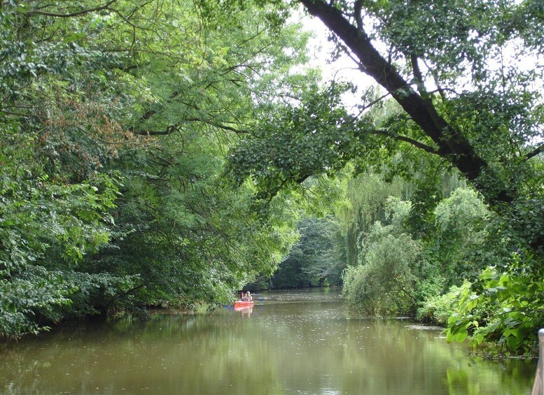 Picture 4 for Activity Leipzig: Floodplain Forest & City River Cruise