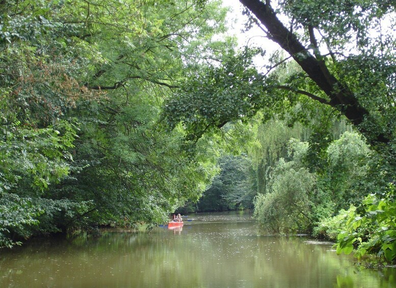 Picture 4 for Activity Leipzig: Floodplain Forest & City River Cruise