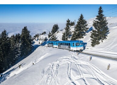 Lucerne and Mountains of Central Switzerland (Private Tour)