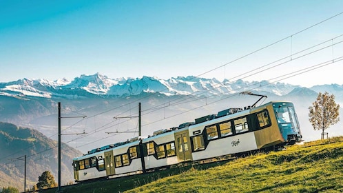 Lucerne and Mountains of Central Switzerland (Private Tour)