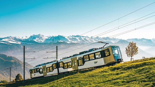 Lucerne and Mountains of Central Switzerland (Private Tour)