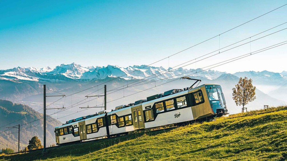 Lucerne and Mountains of Central Switzerland (Private Tour)