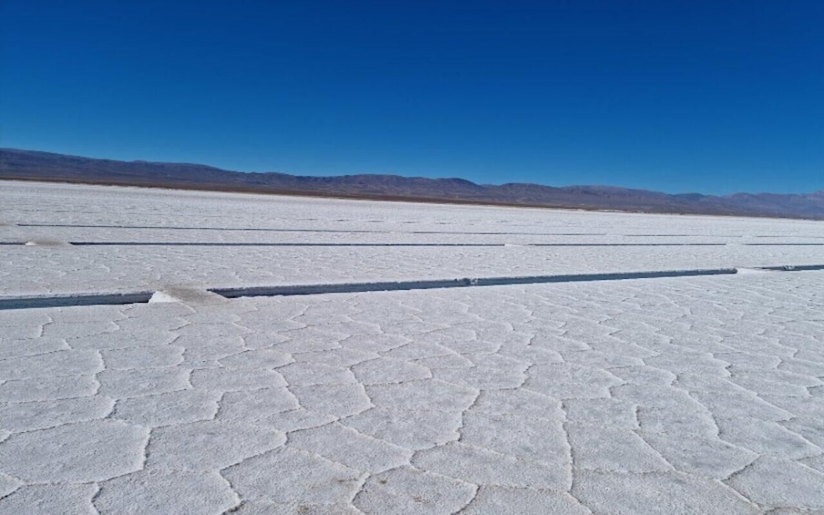 Picture 78 for Activity From Salta: Cafayate,Humahuaca and Salinas Grandes in 3 days