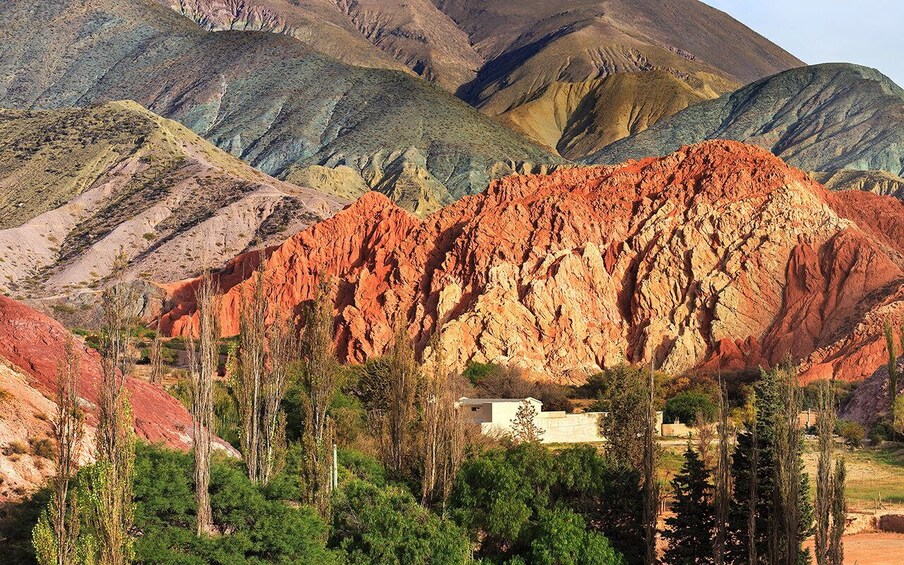 Picture 63 for Activity From Salta: Cafayate,Humahuaca and Salinas Grandes in 3 days