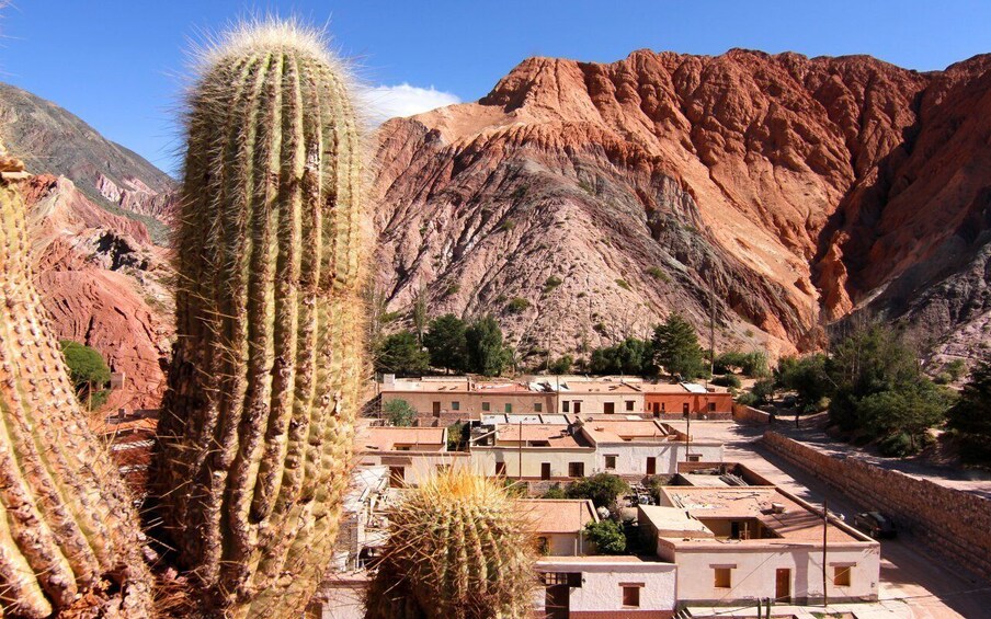 Picture 64 for Activity From Salta: Cafayate,Humahuaca and Salinas Grandes in 3 days