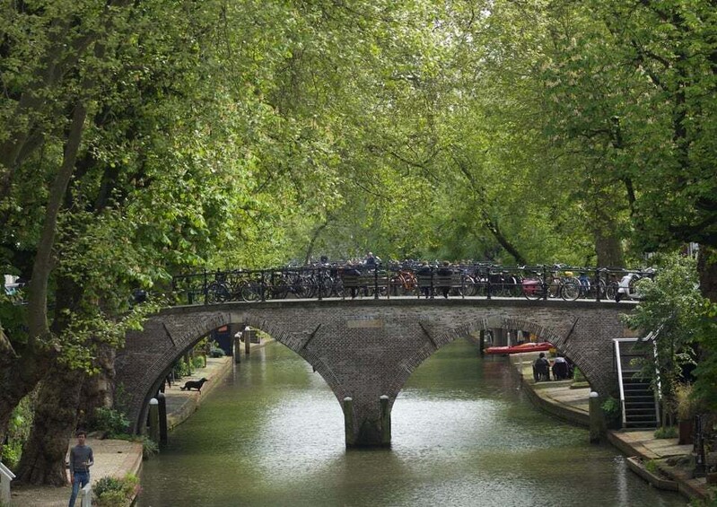 Picture 7 for Activity Utrecht or Amsterdam Sidecar Tour. City, rural or TAILORMADE