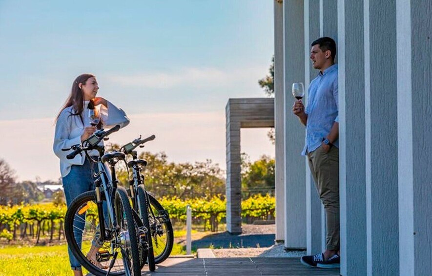 Picture 1 for Activity McLaren Vale: E-Bike Rental to Explore the Vineyards