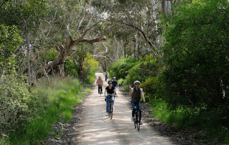 Picture 3 for Activity McLaren Vale: E-Bike Rental to Explore the Vineyards