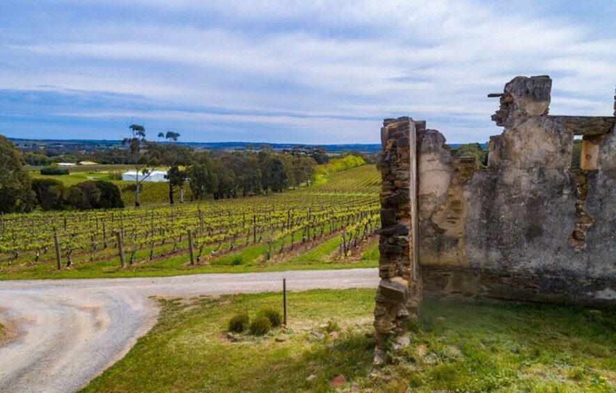 Picture 2 for Activity McLaren Vale: E-Bike Rental to Explore the Vineyards