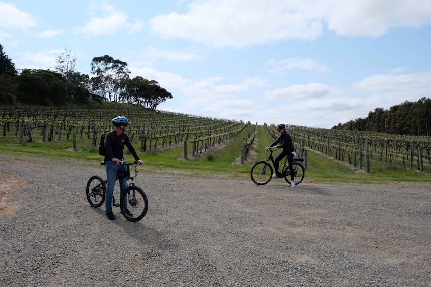 McLaren Vale: E-Bike Rental to Explore the Vineyards