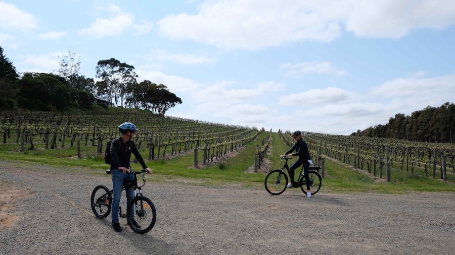 McLaren Vale: E-Bike Rental to Explore the Vineyards