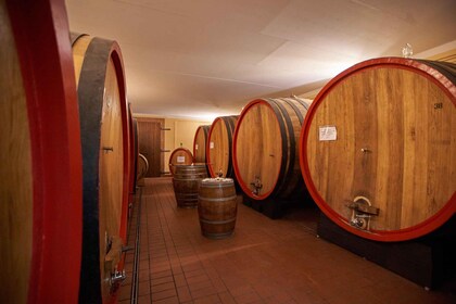 Tasting and Tour Vino Nobile di Montepulciano