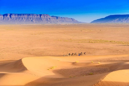 From Agadir or Taghazout: 2-Day Sahara Desert Tour to Zagora