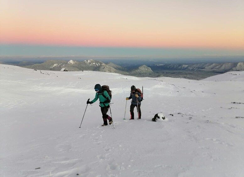 Picture 6 for Activity Ascent to Llaima volcano, 3,125masl, from Pucón