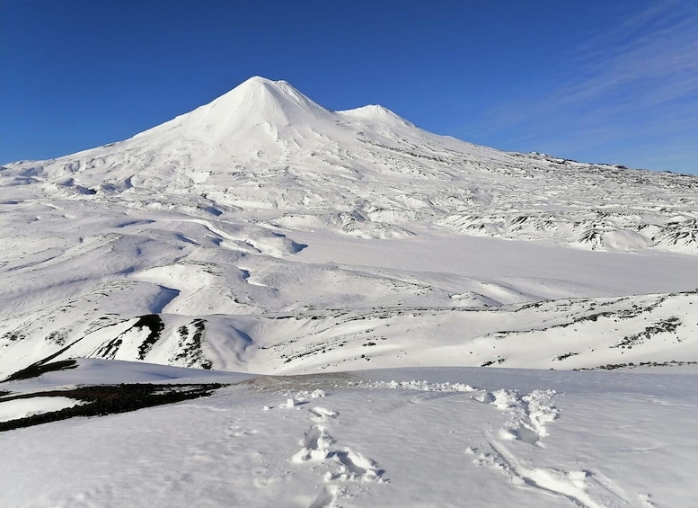 Picture 1 for Activity Ascent to Llaima volcano, 3,125masl, from Pucón