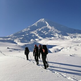 Ascent to Llaima volcano, 3,125masl, from Pucón