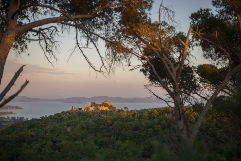 Picture 2 for Activity Private Guided Tour: Discover Lake Trasimeno on E-Bike