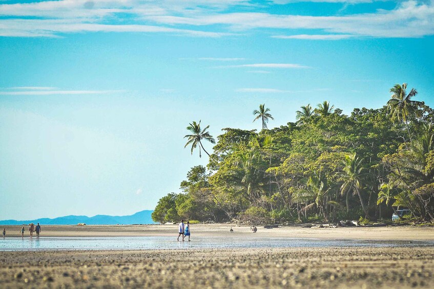 Picture 2 for Activity Uvita & Dominical: Best Surf Lessons in Costa Rica - 3 Hours