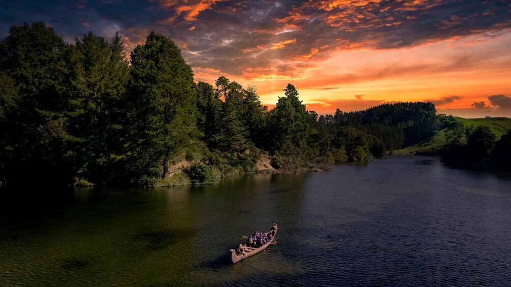 Picture 2 for Activity Tauranga: Evening Big Kanu Glowworm Tour