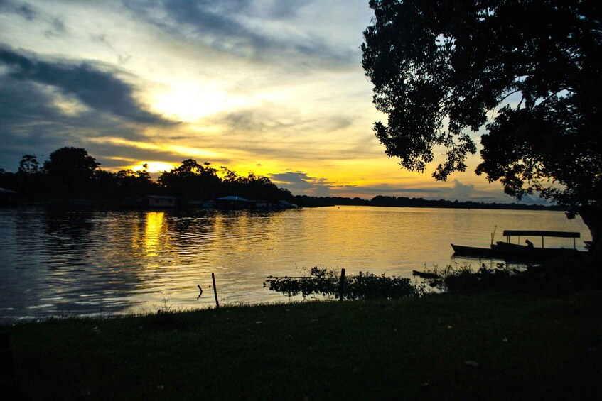 Amazonas Express: Explore Puerto Nariño and Tarapoto Lakes