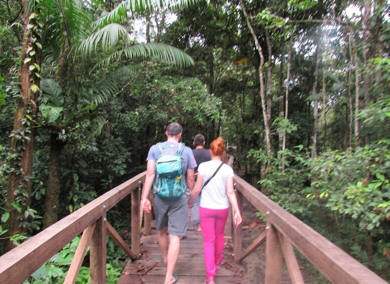 Picture 3 for Activity Amazonas Express: Explore Puerto Nariño and Tarapoto Lakes
