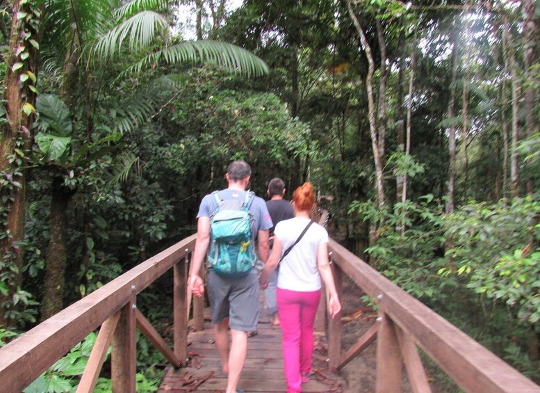 Picture 3 for Activity Amazonas Express: Explore Puerto Nariño and Tarapoto Lakes