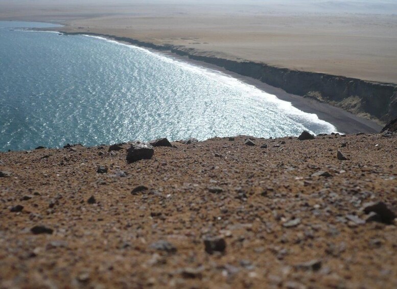 Picture 6 for Activity From Paracas: Private Tours Paracas National Reserve