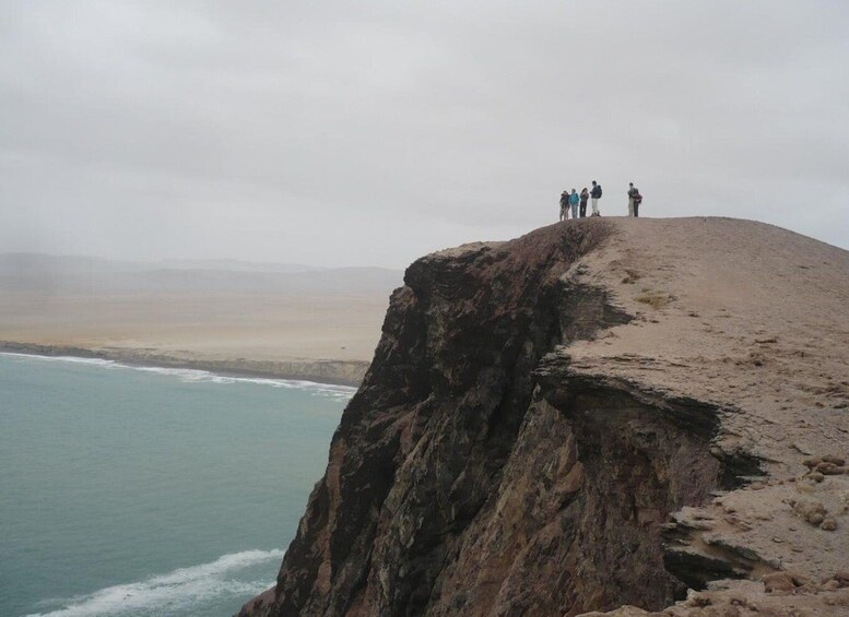 Picture 9 for Activity From Paracas: Private Tours Paracas National Reserve