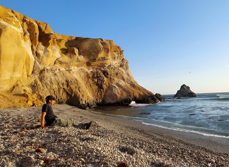 Picture 7 for Activity From Paracas: Private Tours Paracas National Reserve