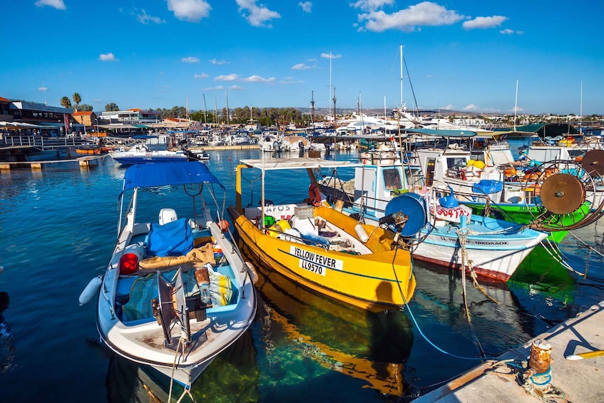 Picture 2 for Activity Paphos: Private Half-Day City Tour