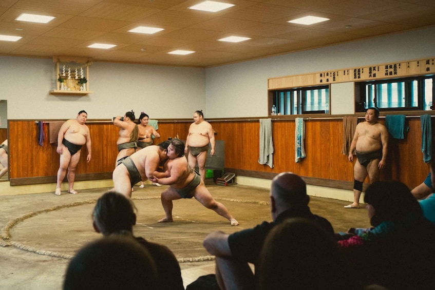 Picture 4 for Activity Tokyo: Sumo Morning Practice Tour at Sumida City