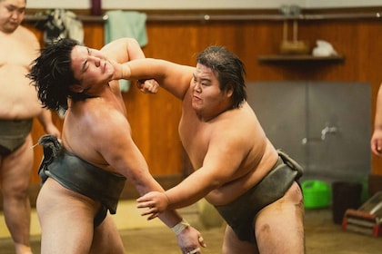 Tokio: Sumo-Morgen-Trainingstour in Sumida City