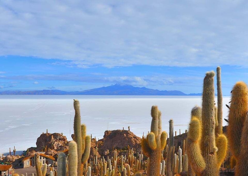 Picture 10 for Activity From La Paz: Uyuni Salt Flats Excursion + Round Trip Bus