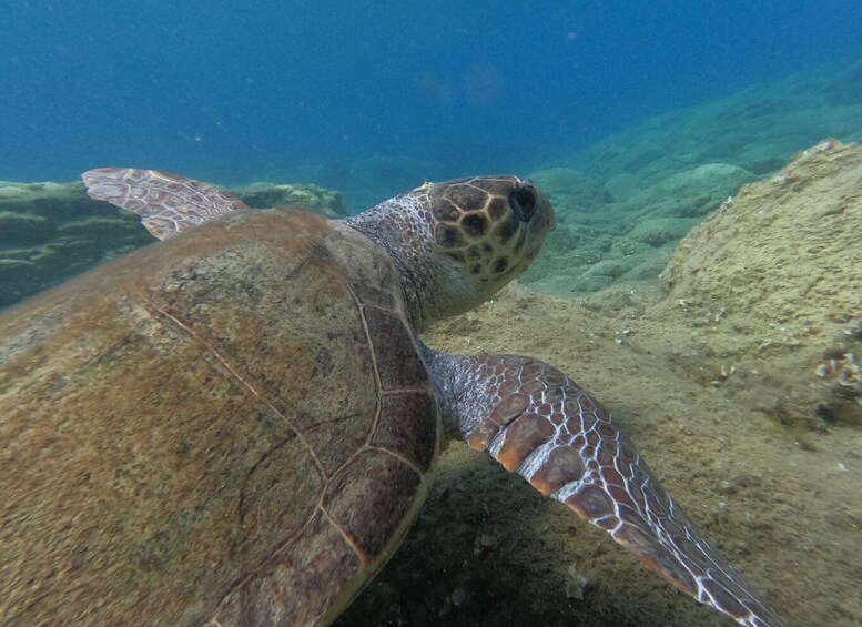 Picture 1 for Activity Heraklion: Beginner-Friendly Snorkeling Trip