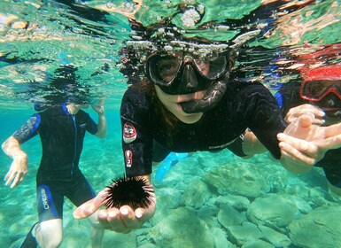 Heraklion: Begyndervenlig snorkeltur