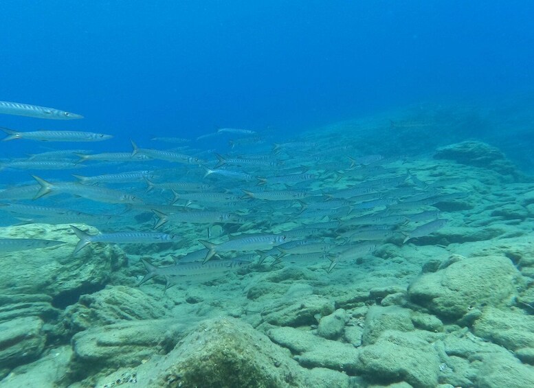 Picture 13 for Activity Heraklion: Beginner-Friendly Snorkeling Trip