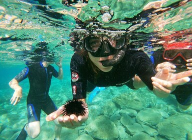 Heraklion: viaje de esnórquel para principiantes