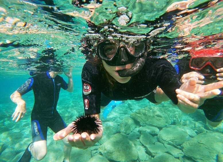 Heraklion: Beginner-Friendly Snorkeling Trip