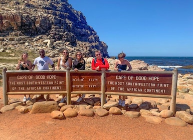 Table Mountain, Penguins & Cape of Good Hope Private Tour