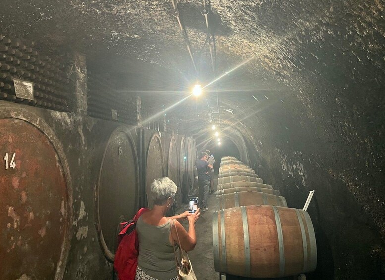 Picture 3 for Activity Lake of Bolsena: Private Cellar Tour and Wine Tasting