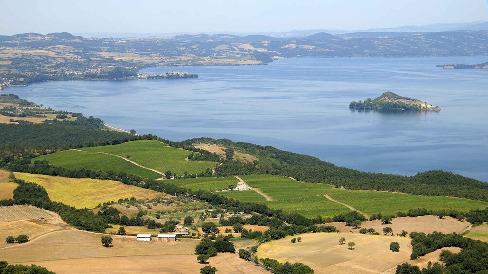 Lake of Bolsena: Private Cellar Tour and Wine Tasting