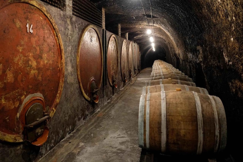 Picture 2 for Activity Lake of Bolsena: Private Cellar Tour and Wine Tasting