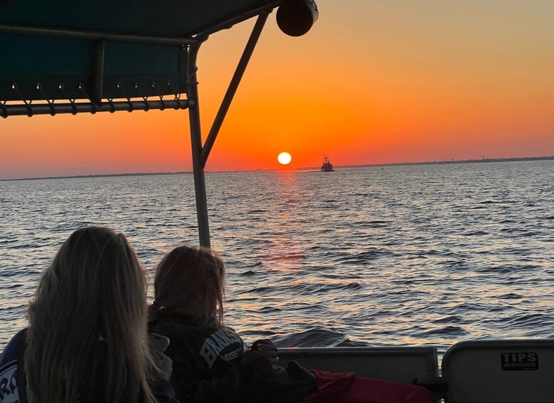 Picture 1 for Activity Pensacola Beach Sunset Dolphin Tour private up to 6 ppl