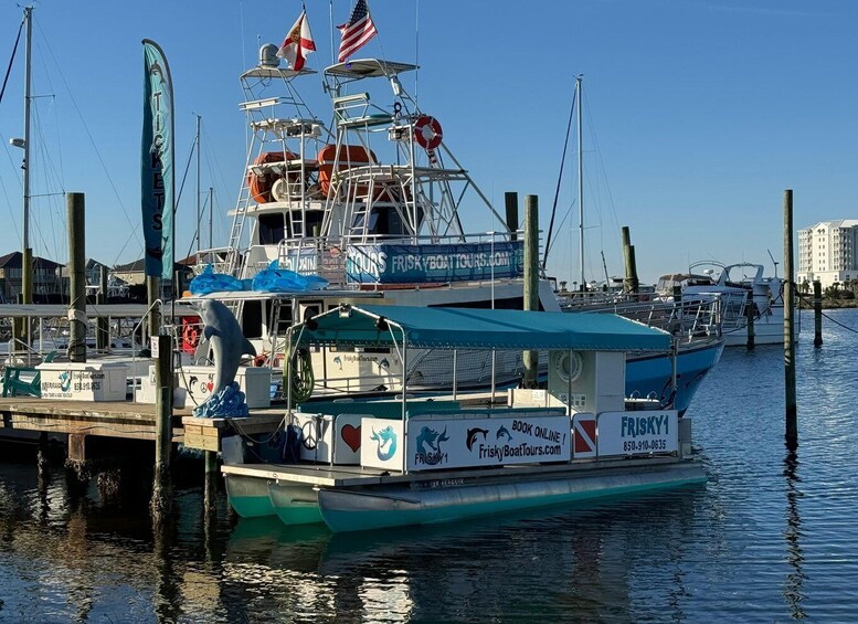 Pensacola Beach Sunset Dolphin Tour private up to 6 ppl