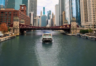 Chicago: Architecture Boat Tour with Drinks