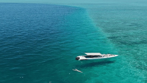 5 Islands Speedboat w/Snorkelling Sea Turtle + Lunch & Drinks