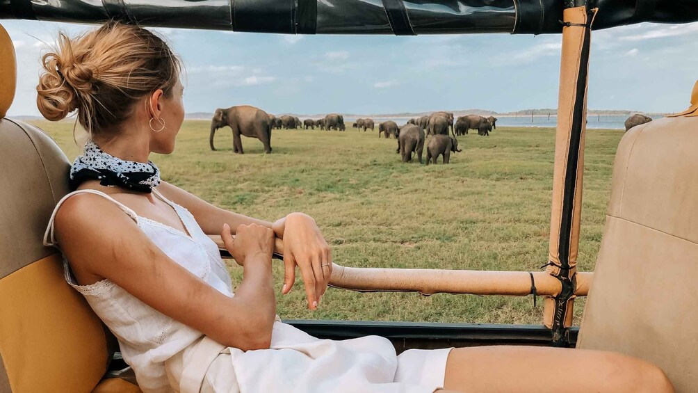 Minneriya National Park Safari in a 4x4 Vehicle