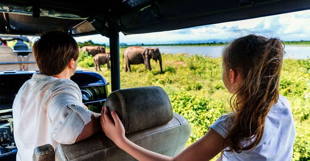 Picture 1 for Activity Minneriya National Park Safari in a 4x4 Vehicle
