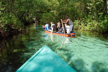 ปุนตาคานา: ดูปลาวาฬ, Cayo Levantado และน้ำตก Limón